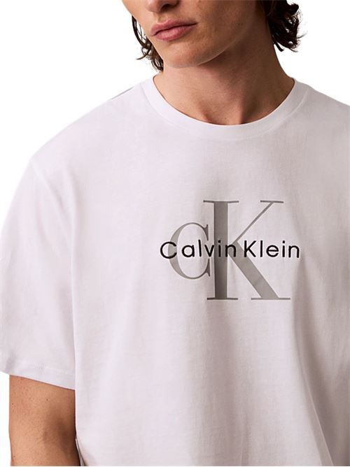 T-shirt in cotone Calvin Klein Jeans | LV04RB862GYAA